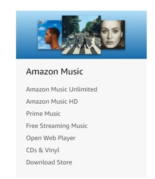 Example of the virtual silo "Amazon Music" category on Amazon.com
